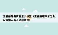 王者荣耀有声音怎么设置（王者荣耀声音怎么设置别人听不到游戏声）