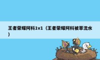 王者荣耀阿科1v1（王者荣耀阿科被草流水）