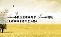 vivo手机玩王者荣耀卡（vivo手机玩王者荣耀卡退出怎么办）