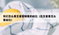 你们怎么看王者荣耀里的段位（在王者里怎么看段位）