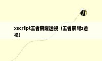 xscript王者荣耀透视（王者荣耀z透视）