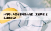 如何可以升王者荣耀里的段位（王者荣耀 怎么提升段位）