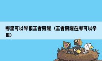 哪里可以举报王者荣耀（王者荣耀在哪可以举报）