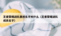 王者荣耀战队里的名字叫什么（王者荣耀战队成员名字）