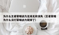 为什么王者荣耀战力无缘无故消失（王者荣耀为什么没打荣耀战力就掉了）