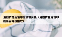 港剧护花危情印度黑客片段（港剧护花危情印度黑客片段播放）