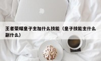 王者荣耀皇子主加什么技能（皇子技能主什么副什么）