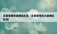 王者荣耀你被踢出队伍（王者荣耀你已被踢出队伍）