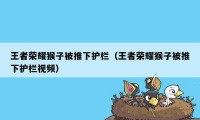 王者荣耀猴子被推下护栏（王者荣耀猴子被推下护栏视频）