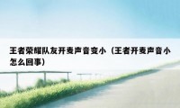 王者荣耀队友开麦声音变小（王者开麦声音小怎么回事）