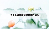 关于王者荣耀貂蝉黄图的信息