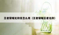 王者荣耀无敌挂怎么用（王者荣耀王者无敌）