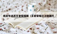 我宣布退出王者荣耀图（王者荣耀已注销图片）