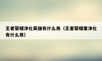 王者荣耀净化英雄有什么用（王者荣耀里净化有什么用）