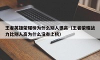 王者英雄荣耀榜为什么别人很高（王者荣耀战力比别人高为什么没有上榜）