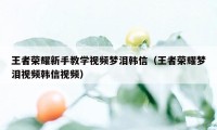 王者荣耀新手教学视频梦泪韩信（王者荣耀梦泪视频韩信视频）