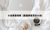 小说黑客极限（最强黑客顶点小说）