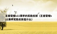 王者荣耀s11赛季的奖励皮肤（王者荣耀s11赛季奖励皮肤是什么）