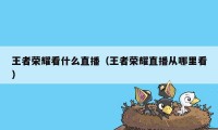 王者荣耀看什么直播（王者荣耀直播从哪里看）