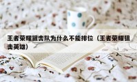 王者荣耀狙击队为什么不能排位（王者荣耀狙击英雄）