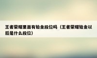 王者荣耀里面有铂金段位吗（王者荣耀铂金以后是什么段位）