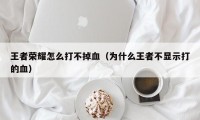 王者荣耀怎么打不掉血（为什么王者不显示打的血）