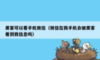 黑客可以看手机微信（微信在我手机会被黑客看到我信息吗）