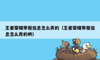 王者荣耀举报信息怎么弄的（王者荣耀举报信息怎么弄的啊）