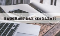 王者荣耀英雄说的怎么发（王者怎么发文字）