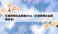 王者荣耀水晶截图2021（王者荣耀水晶截图背包）