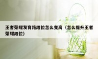 王者荣耀发育路段位怎么变高（怎么提升王者荣耀段位）