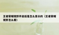 王者荣耀视野开启后是怎么显示的（王者荣耀视野怎么看）