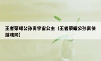 王者荣耀公孙离宇宙公主（王者荣耀公孙离侠游戏网）