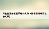 河北省注册王者荣耀的人数（王者荣耀玩家注册人数）