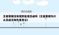 王者荣耀没有视野能用惩戒吗（王者荣耀为什么惩戒没有伤害显示）