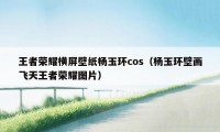 王者荣耀横屏壁纸杨玉环cos（杨玉环壁画飞天王者荣耀图片）