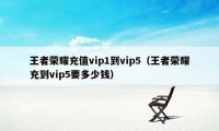 王者荣耀充值vip1到vip5（王者荣耀充到vip5要多少钱）