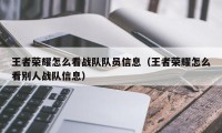 王者荣耀怎么看战队队员信息（王者荣耀怎么看别人战队信息）