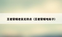 王者荣耀老鼠无敌点（王者荣耀电耗子）