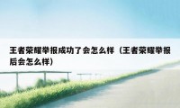 王者荣耀举报成功了会怎么样（王者荣耀举报后会怎么样）