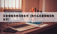 王者荣耀怎样没有名字（为什么王者荣耀没有名字）