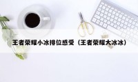 王者荣耀小冰排位感受（王者荣耀大冰冰）