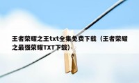 王者荣耀之王txt全集免费下载（王者荣耀之最强荣耀TXT下载）