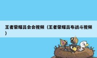 王者荣耀吕会会视频（王者荣耀吕布战斗视频）