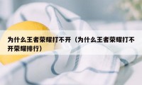 为什么王者荣耀打不开（为什么王者荣耀打不开荣耀排行）