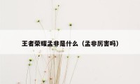 王者荣耀孟非是什么（孟非厉害吗）