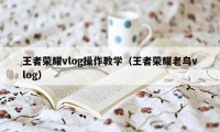 王者荣耀vlog操作教学（王者荣耀老鸟vlog）