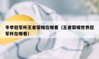 冬季冠军杯王者荣耀在哪看（王者荣耀世界冠军杯在哪看）