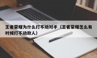 王者荣耀为什么打不动对手（王者荣耀怎么有时候打不动敌人）