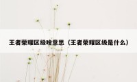 王者荣耀区级啥意思（王者荣耀区级是什么）